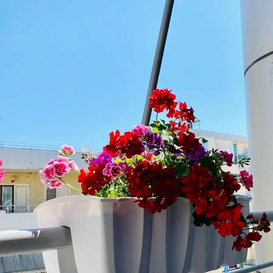 Holiday Apartment Vlorë 0*,  Αλβανία
